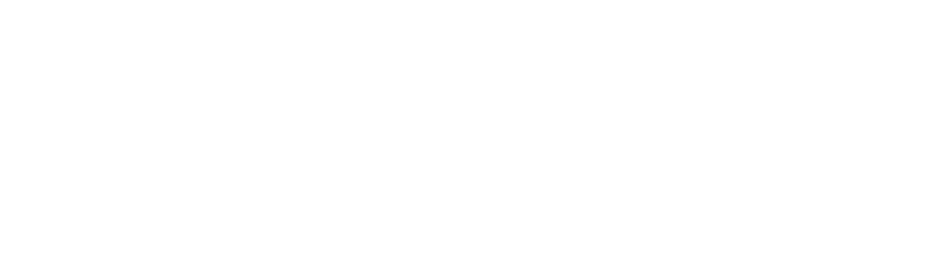 logo light
